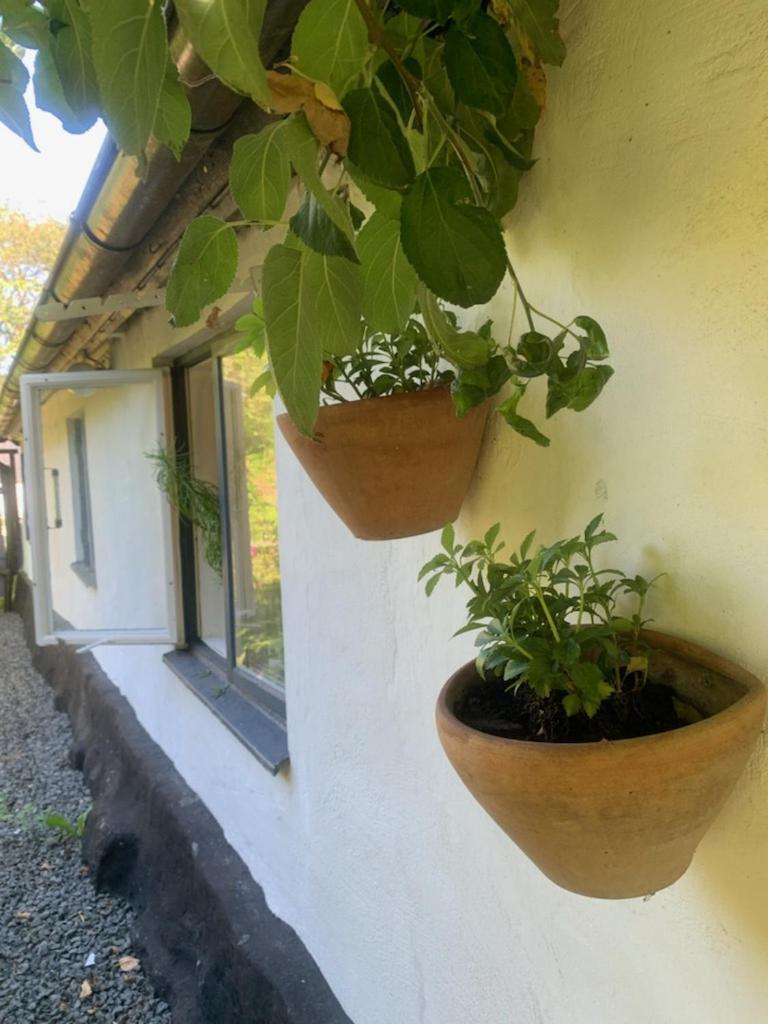 Millans Dockhus Onslunda Exterior foto